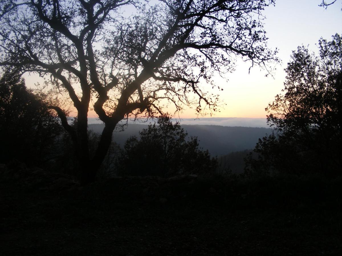 Bed and Breakfast Lou Papagai Saint-Antonin Esterno foto